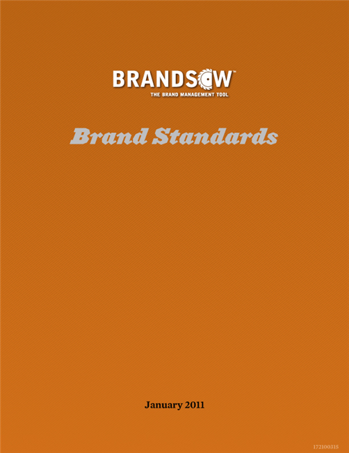 Brandsaw Brand Standards Manual